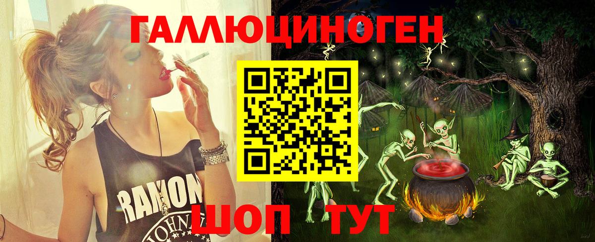 Галлюциногенные грибы Psilocybine cubensis Урус-Мартан