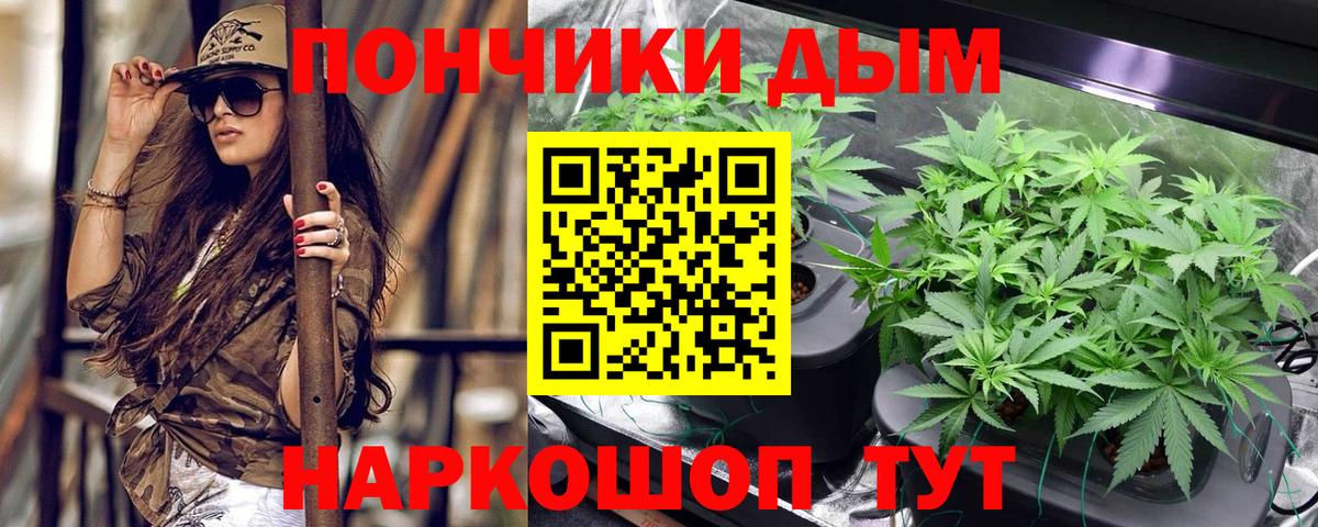 Шишки марихуана семена  Вход с VPN  Урус-Мартан  Каннабис MAZAR 